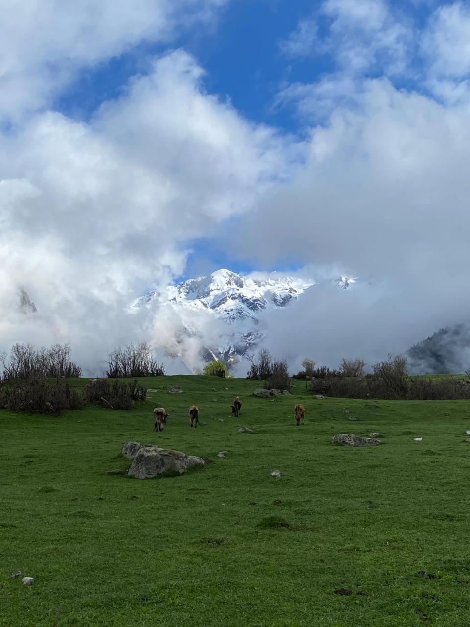 Гостевой дом Peak Mazeri Номер фото