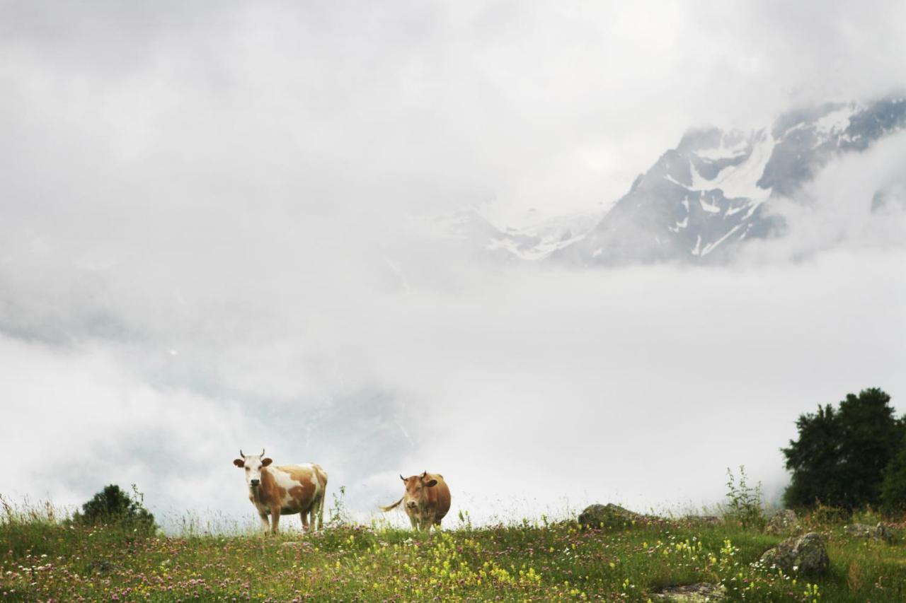 Гостевой дом Peak Mazeri Экстерьер фото
